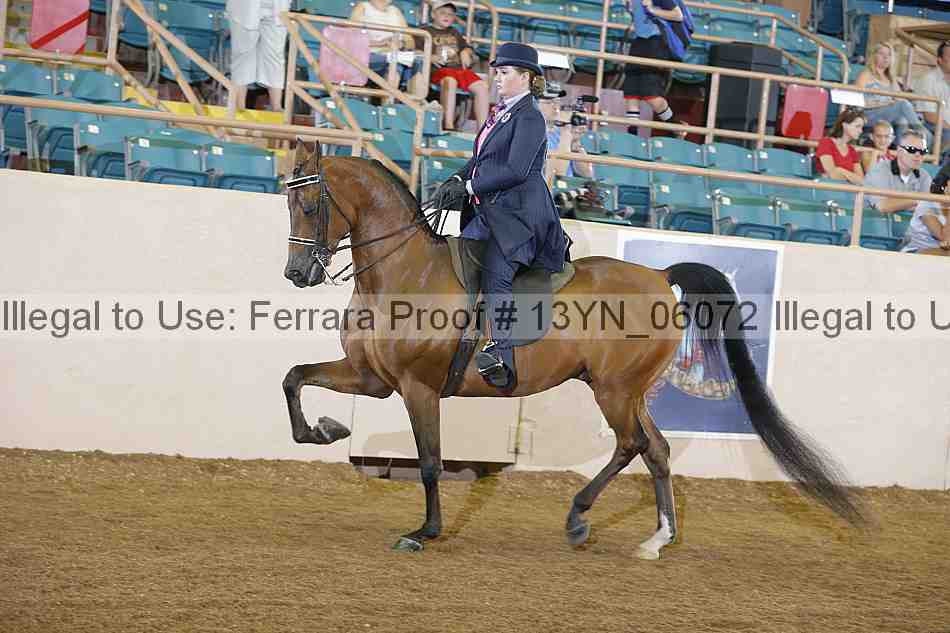Proof Number 13yn_06072