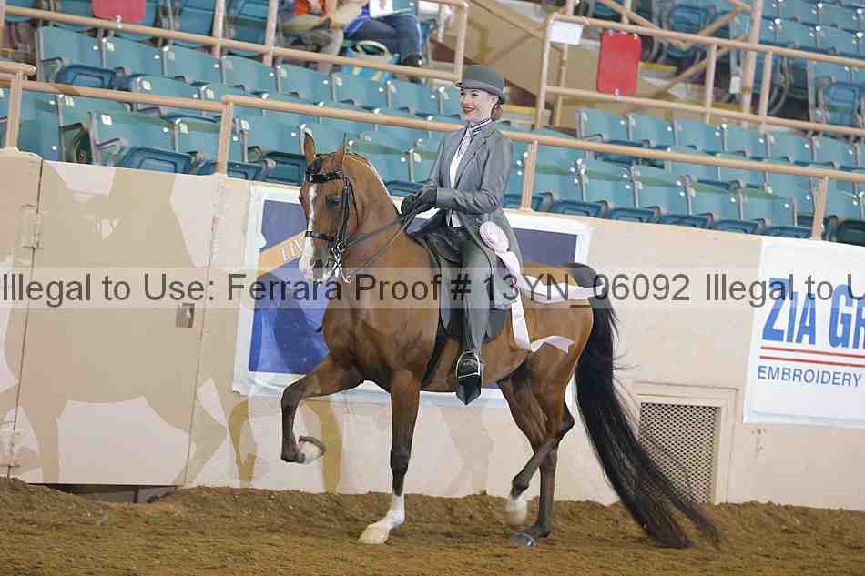 Proof Number 13yn_06092
