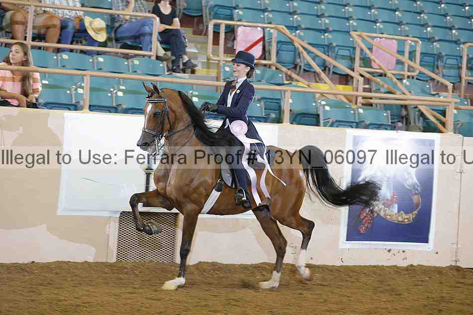 Proof Number 13yn_06097