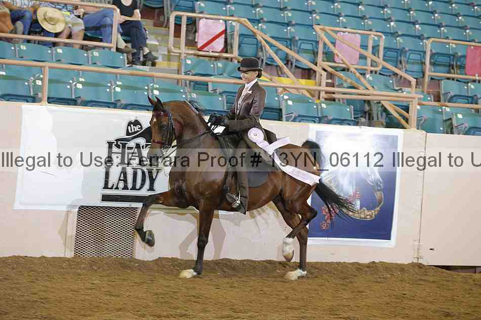 Proof Number 13yn_06112