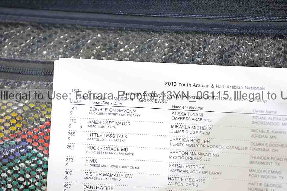 Proof Number 13yn_06115