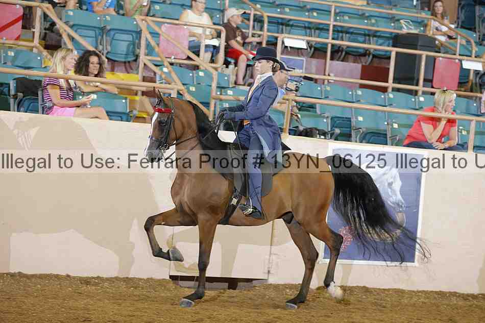 Proof Number 13yn_06125