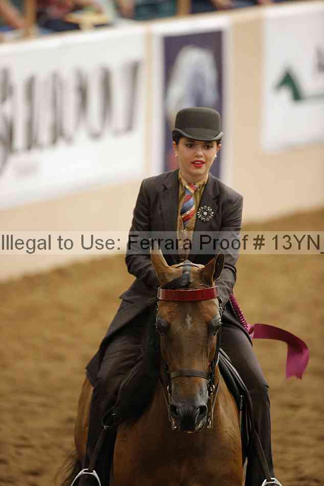 Proof Number 13yn_26324