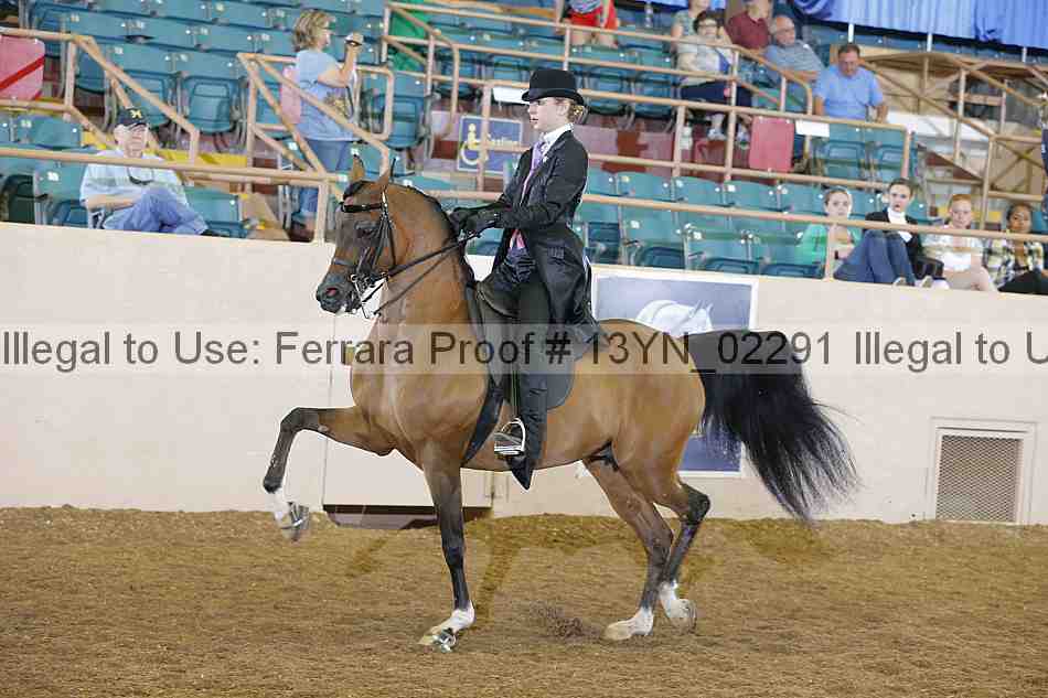 Proof Number 13yn_02291