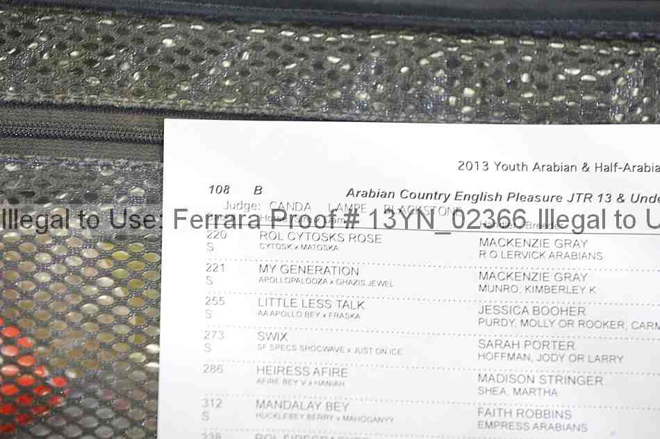 Proof Number 13yn_02366