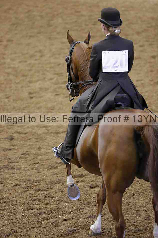 Proof Number 13yn_02368