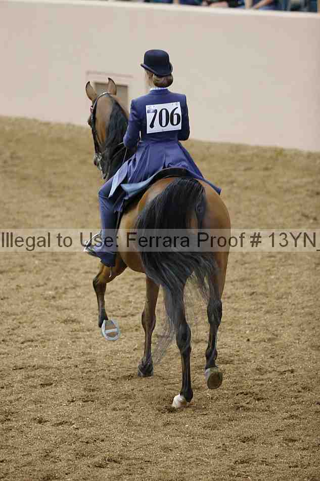 Proof Number 13yn_02401