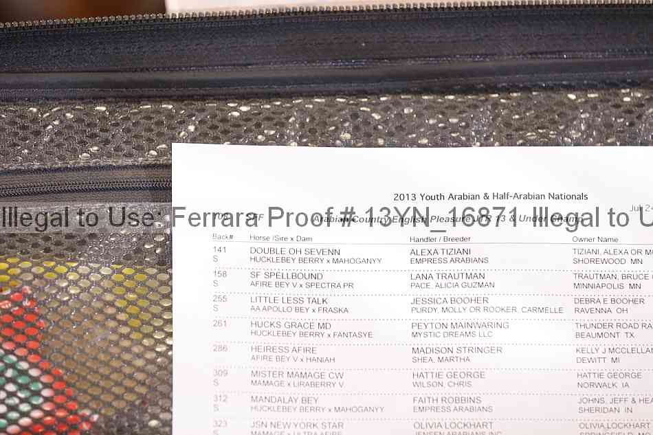 Proof Number 13yn_16871