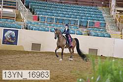 13yn_16963 thumbnail