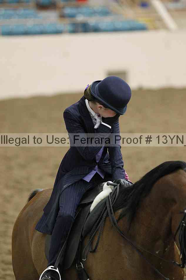 Proof Number 13yn_16983