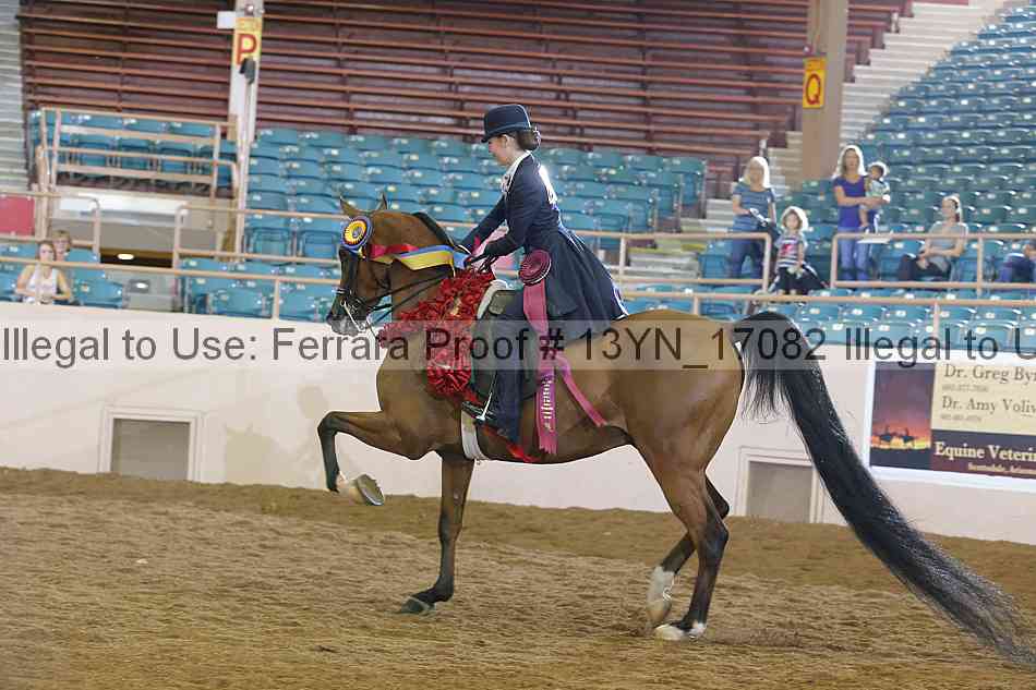 Proof Number 13yn_17082