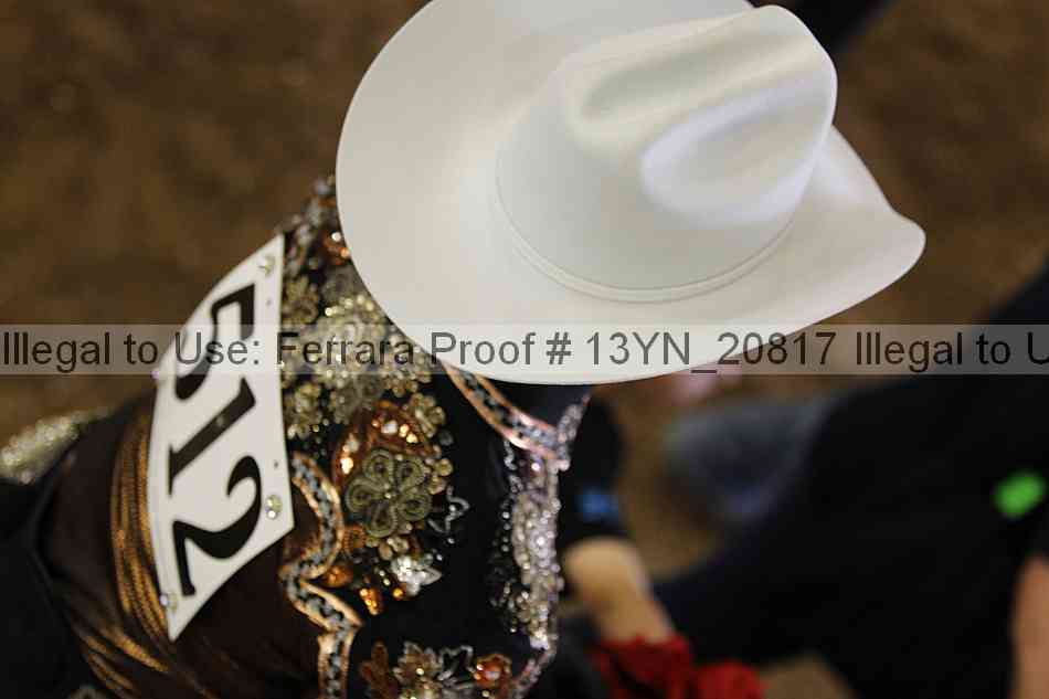 Proof Number 13yn_20817