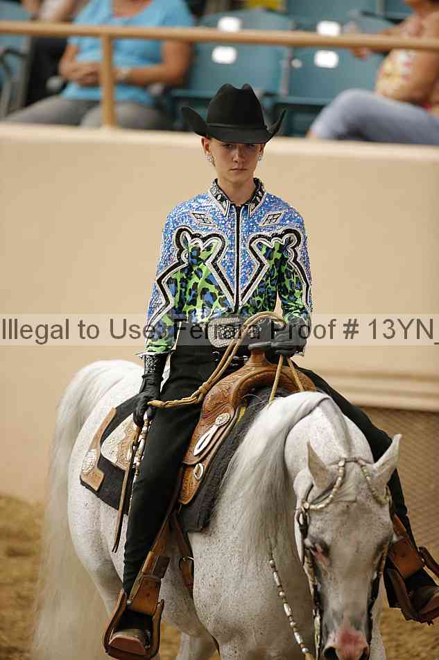 Proof Number 13yn_11589