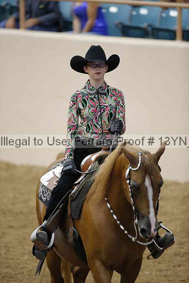 Proof Number 13yn_11590