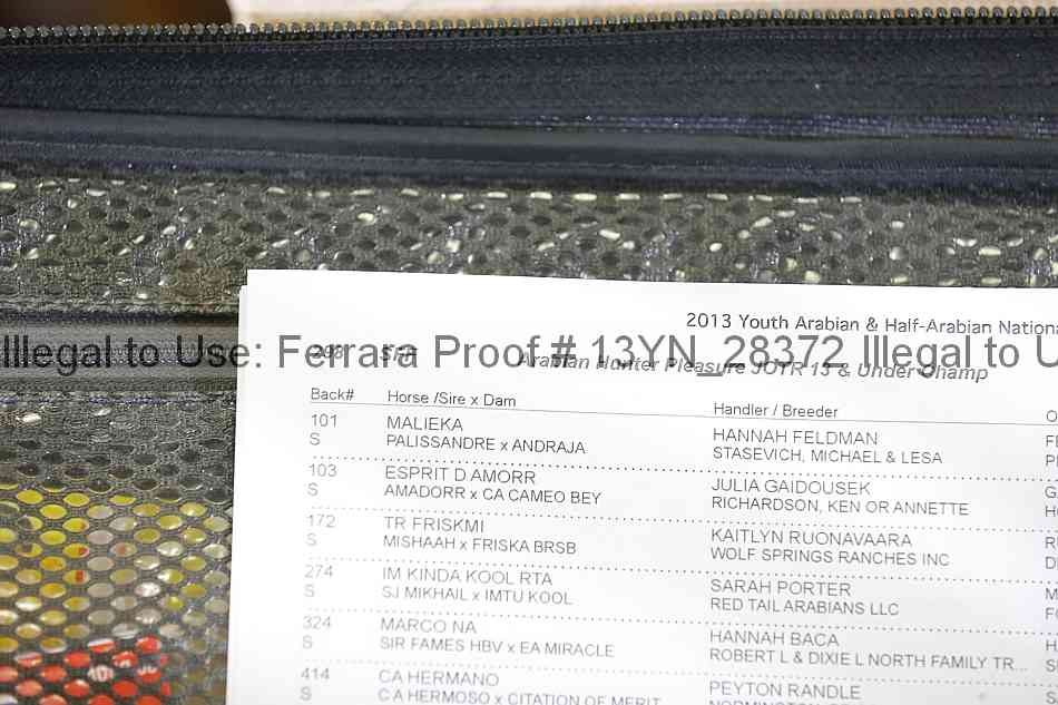 Proof Number 13yn_28372