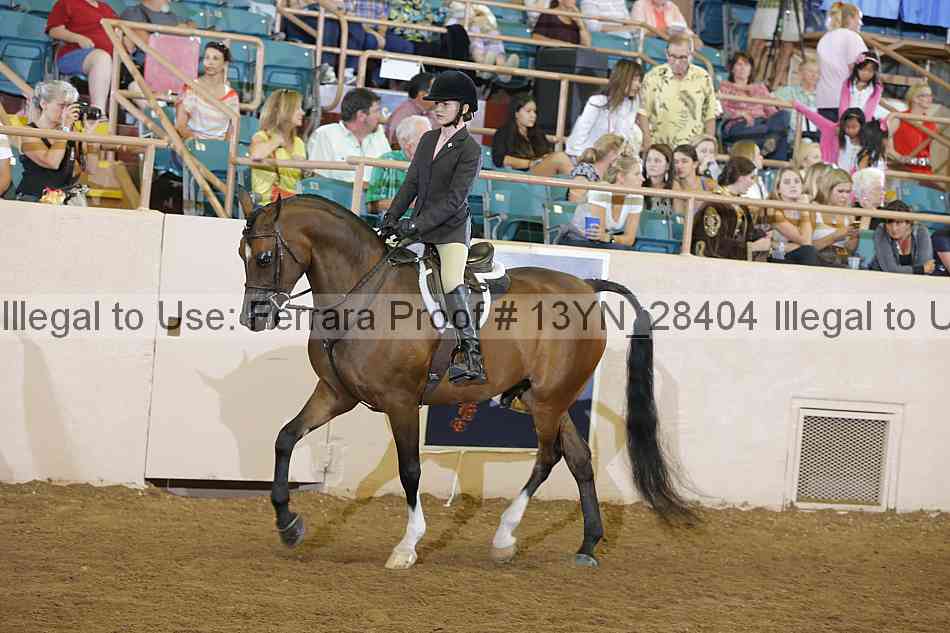 Proof Number 13yn_28404