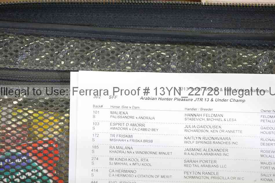 Proof Number 13yn_22728