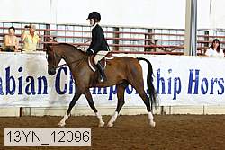 13yn_12096 thumbnail