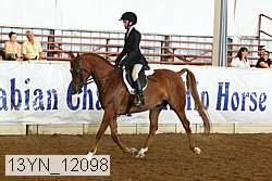 13yn_12098 thumbnail