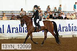 13yn_12099 thumbnail
