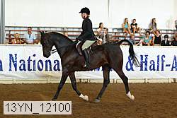 13yn_12100 thumbnail
