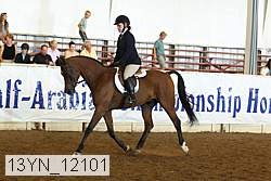 13yn_12101 thumbnail