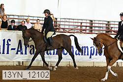 13yn_12102 thumbnail
