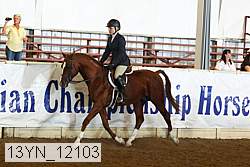 13yn_12103 thumbnail