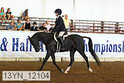 13yn_12104 thumbnail