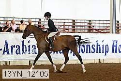 13yn_12105 thumbnail