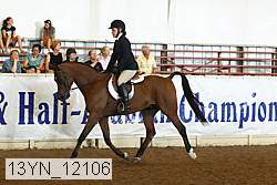 13yn_12106 thumbnail