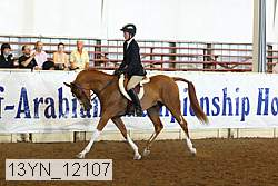 13yn_12107 thumbnail