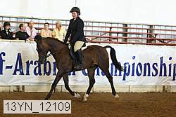 13yn_12109 thumbnail