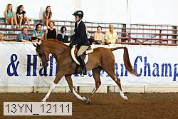 13yn_12111 thumbnail