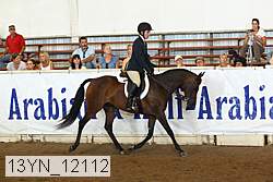 13yn_12112 thumbnail