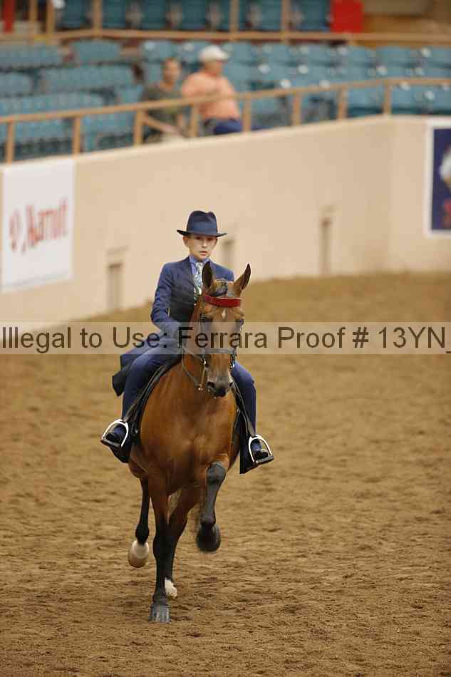Proof Number 13yn_29336