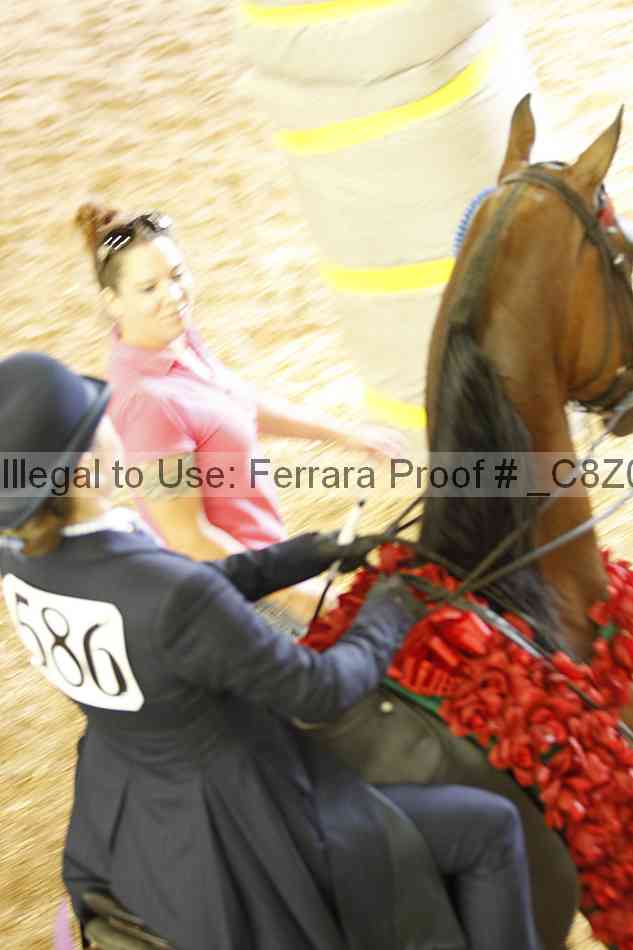 Proof Number _c8z0534