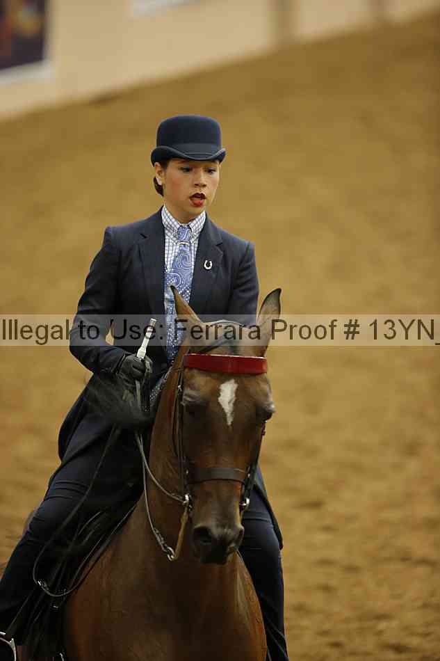 Proof Number 13yn_08808