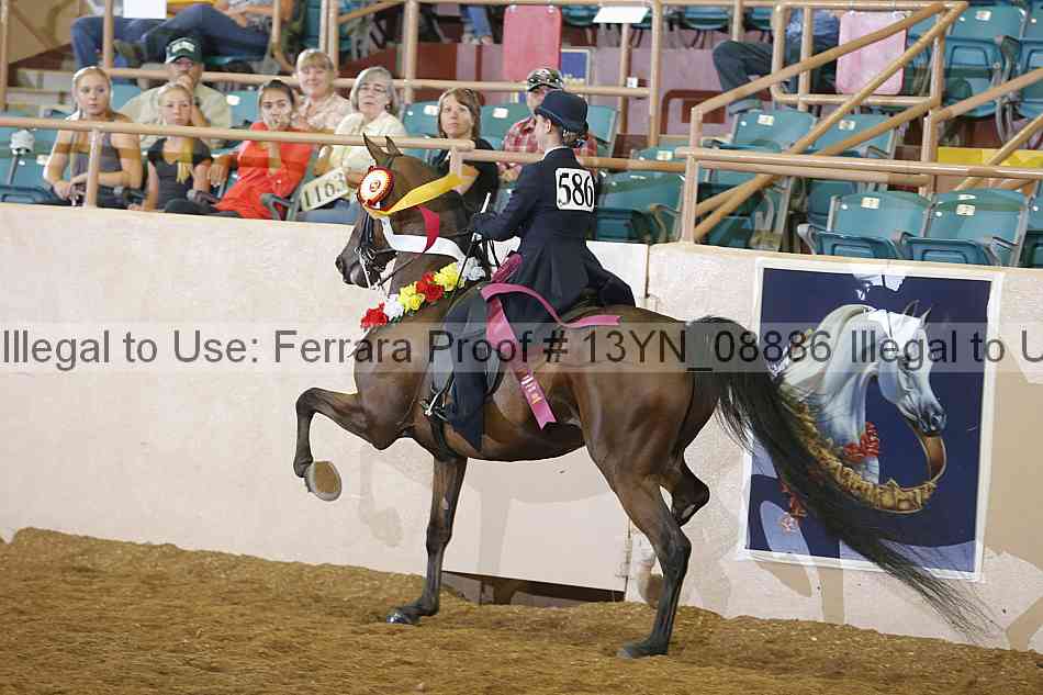 Proof Number 13yn_08886