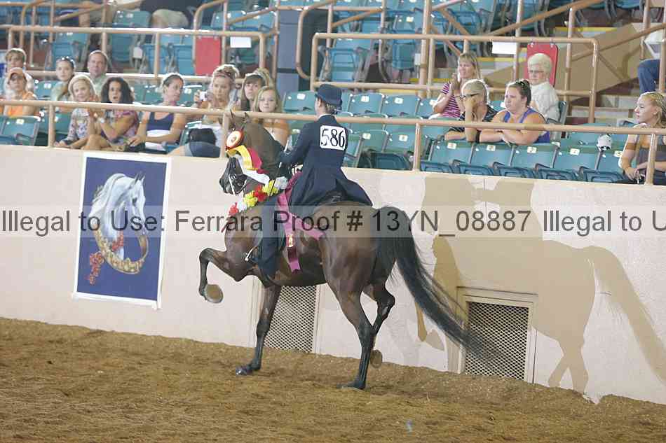 Proof Number 13yn_08887
