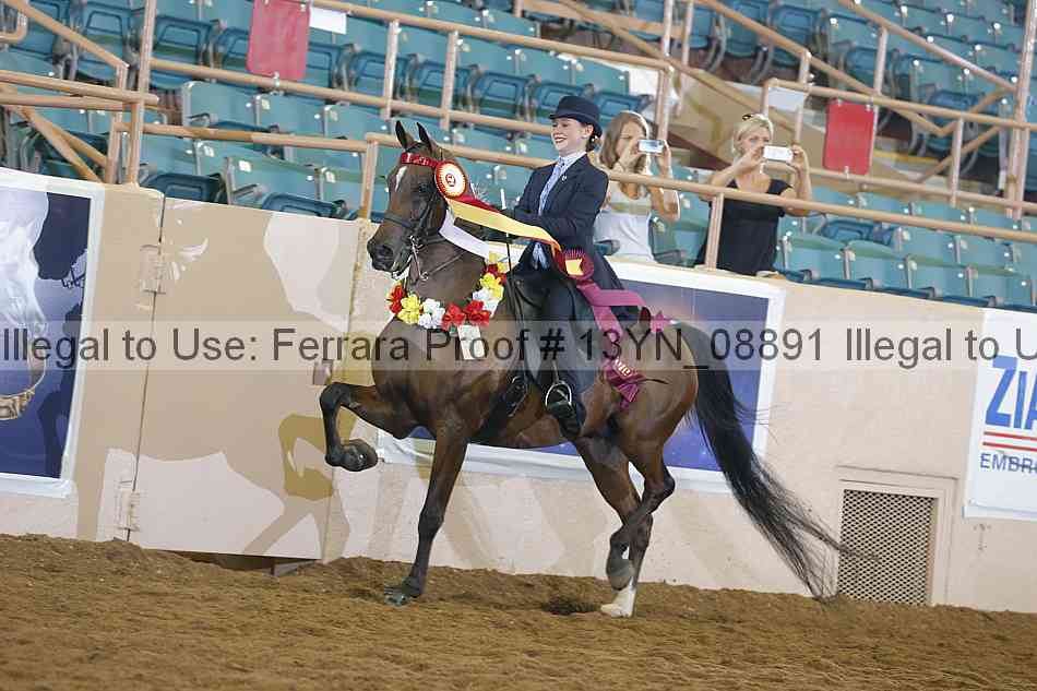 Proof Number 13yn_08891
