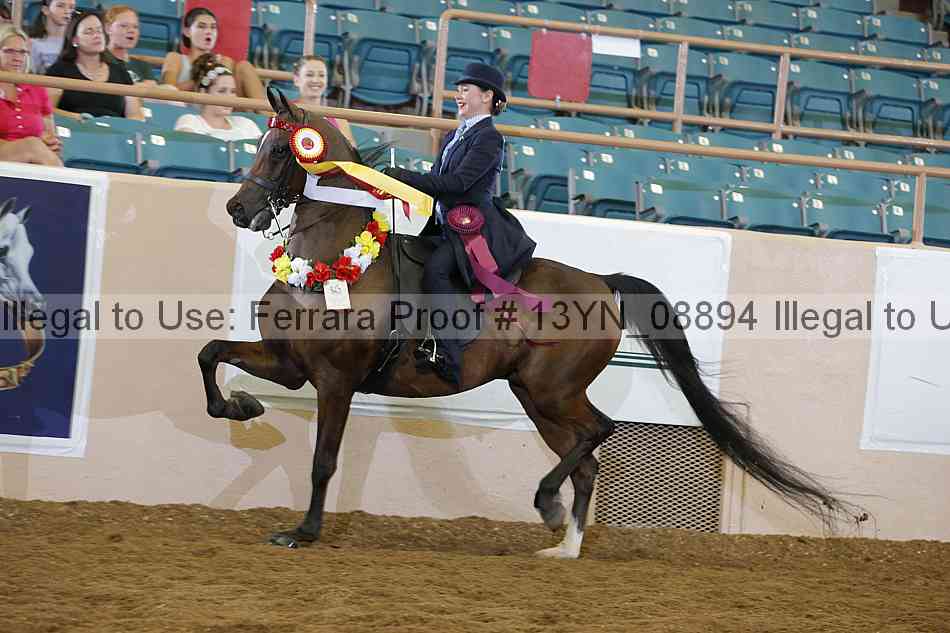 Proof Number 13yn_08894