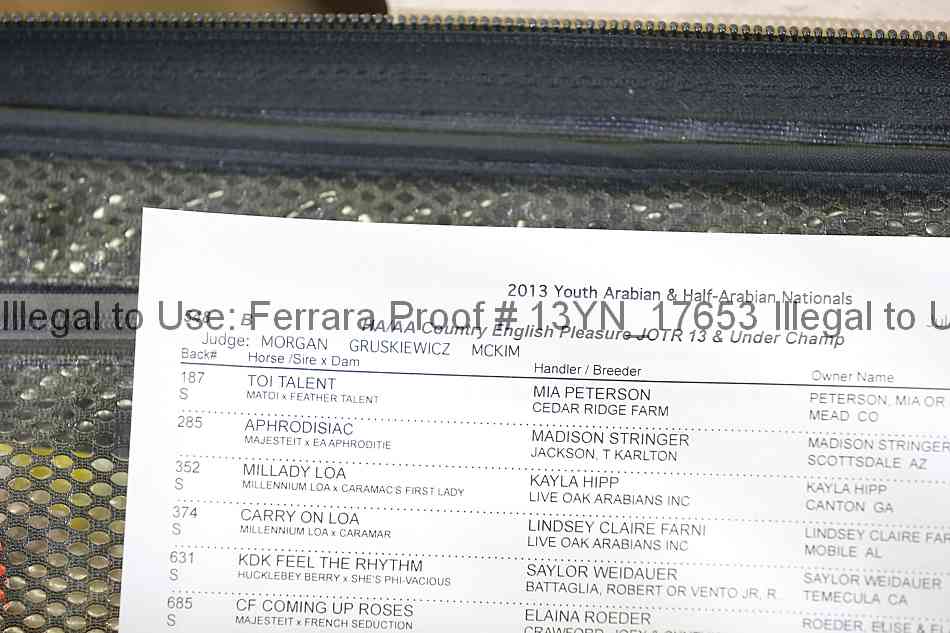Proof Number 13yn_17653