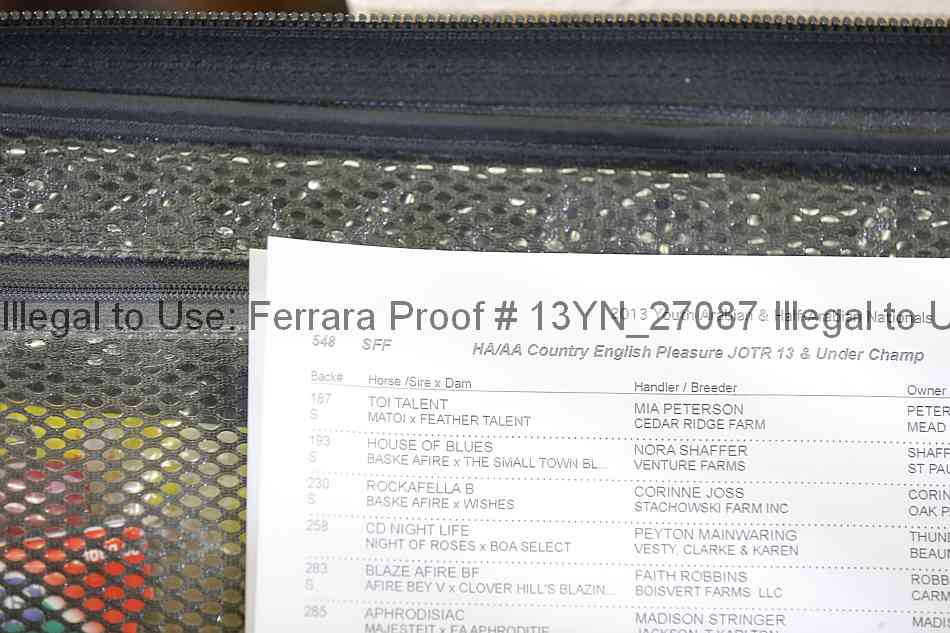 Proof Number 13yn_27087
