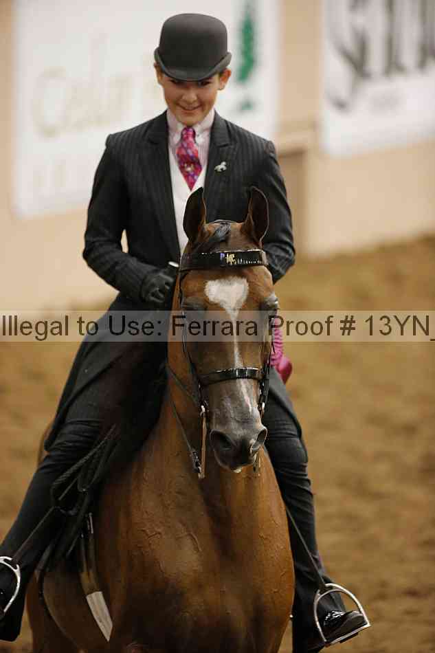 Proof Number 13yn_27213