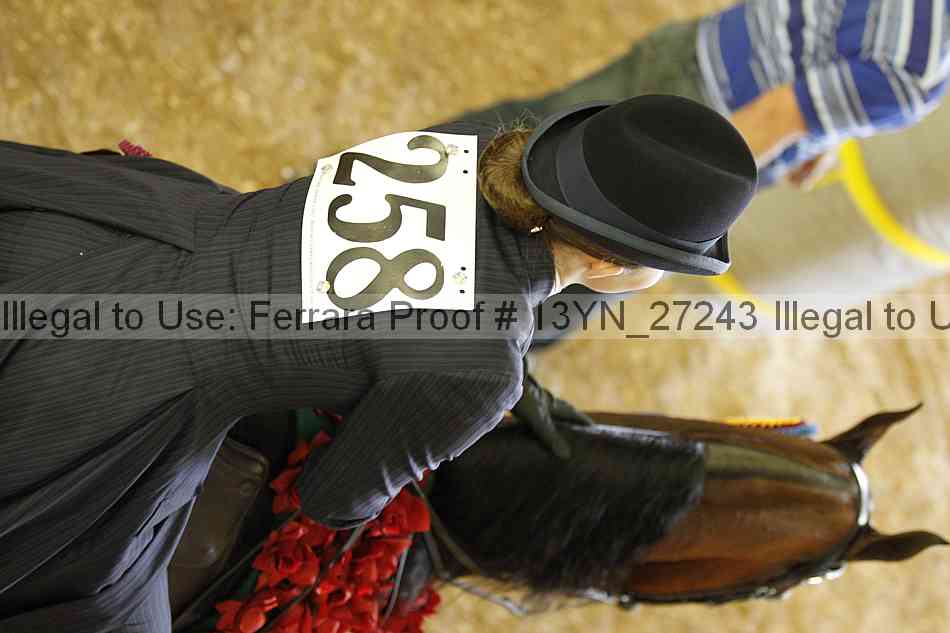 Proof Number 13yn_27243