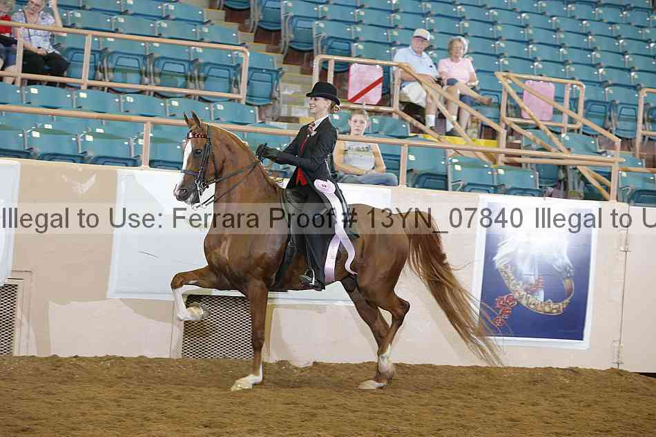 Proof Number 13yn_07840