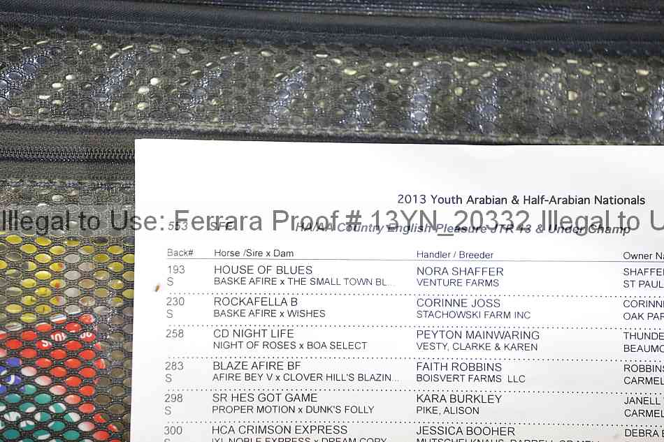 Proof Number 13yn_20332
