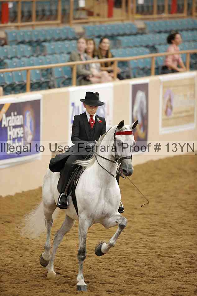 Proof Number 13yn_20354