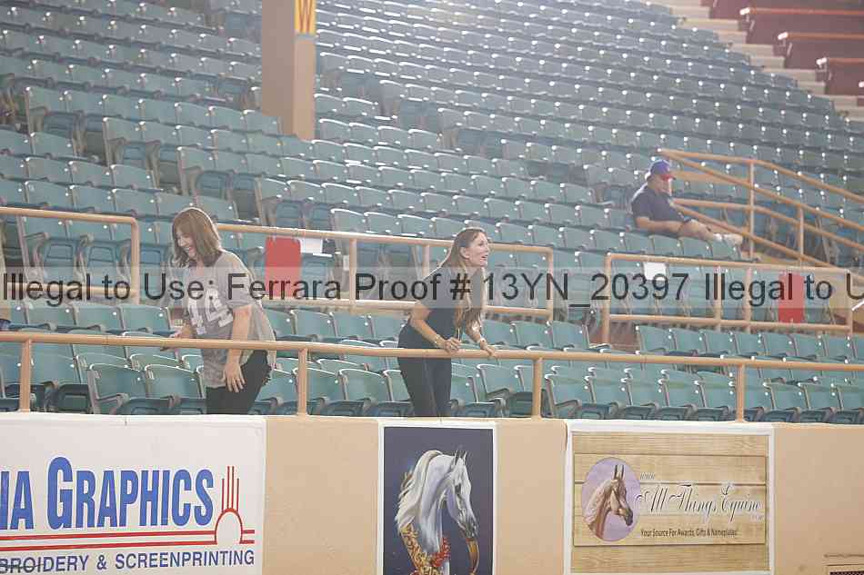 Proof Number 13yn_20397